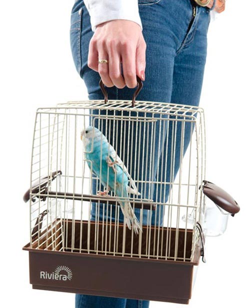 parakeet travel cage