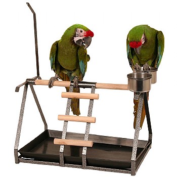 Tabletop Parrot Stand with Toy Hanger & Feeder