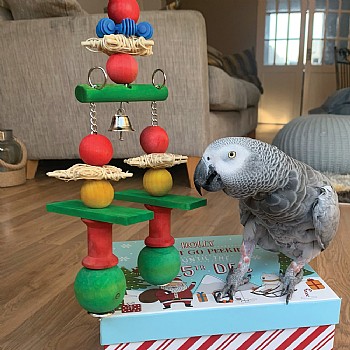 Jingle Bells Stacker Christmas Parrot Toy