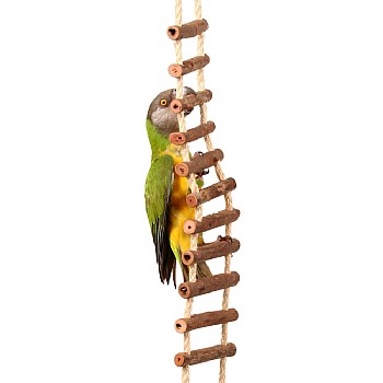 Natural Log Ladder Bridge Parrot Climbing Toy - Large