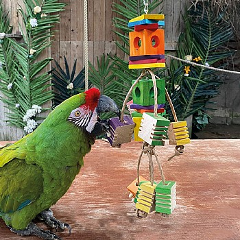 Dancing Foraging Cubes Parrot Toy