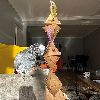 Pyramid Favour Chewable Foraging Parrot Toy - Large