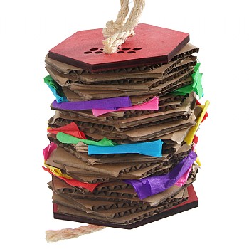 Accordion Cardboard Parrot Toy