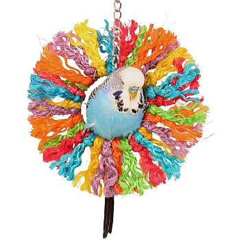 Rainbow Sisal Ring Rope Parrot Toy