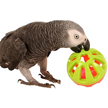 Jingle Ball Parrot Play Toy - Medium