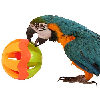 Northern_Parrots Jingle Ball Parrot Play Toy - Large