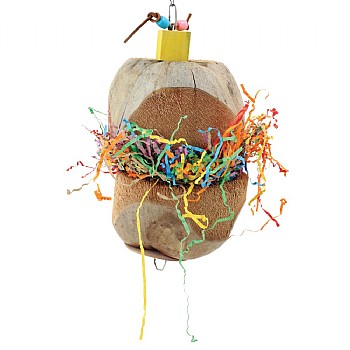 Coconut Treasure Chest Parrot Toy