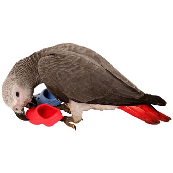 Pair of Flip Flops - Parrot Foot Toy