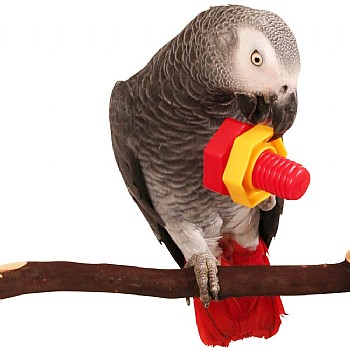 Northern_Parrots Jumbo Nuts & Bolts Parrot Puzzle Toy - Pack of 2