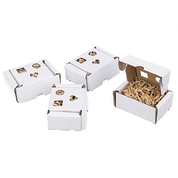 Northern_Parrots Foraging Boxes Cardboard Parrot Toys Pack of 4