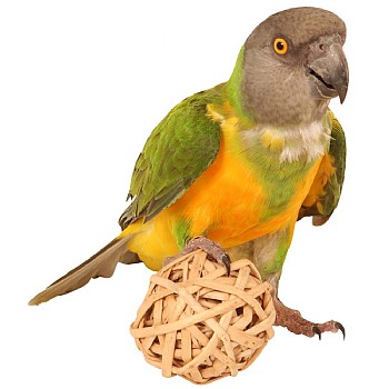 Northern_Parrots Munch Balls Woven Vine Chew Toy for Parrots