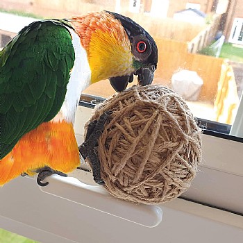 Jute Rope Ball Parrot Foot Toy - Medium