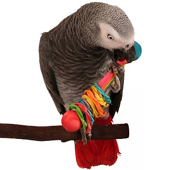 Superbird Vine Ring Rattle Foot Toy for Parrots