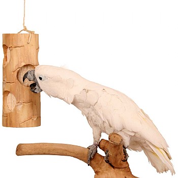 Ole Senior Bird Kabob - Chunky Chewable Parrot Toy