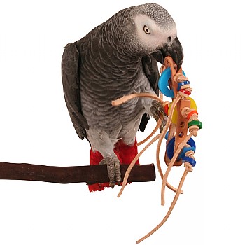 Rollicking Foot Toy for Parrots