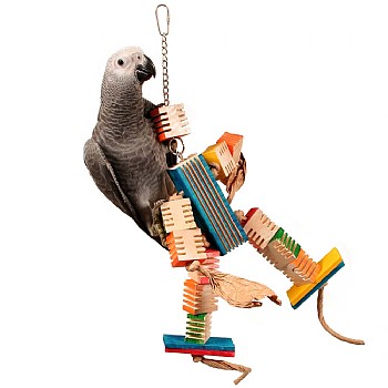 Zoo-Max Groovy Dancer Parrot Toy
