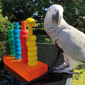 Zoo-Max The Teacher Toy Activity Parrot Toy