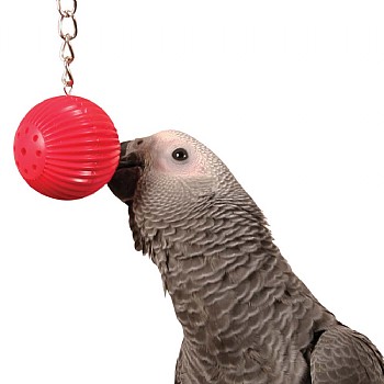J_Steel Birdy Babble Ball - Interactive Parrot Toy