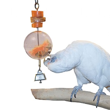Foraging Sphere - Starter Creative Foraging Toy for Parrots