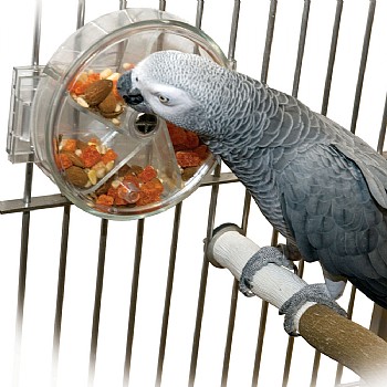 Original Foraging Wheel - Interactive Creative Parrot Toy