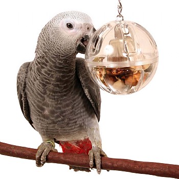 Buffet Ball with Bell - Tough Foraging Toy