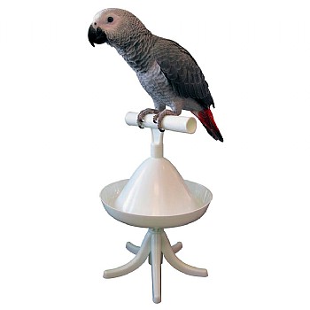 The Percher - Portable Parrot Training Perch