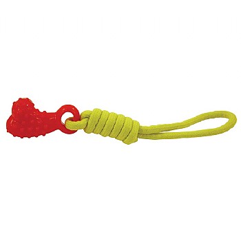 Chase n Chomp Seek-It Comet Treat Bone & Fetch Dog Toy