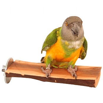 Perch_On_This Manzanita Flat Parrot Perch - Small
