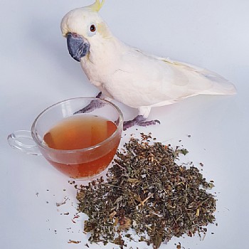 Pollys_Natural Hormone Bliss Organic Avian Herbal Tea