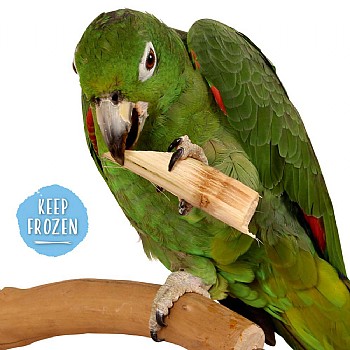 Northern_Parrots Sugar Cane Natural Parrot Treat