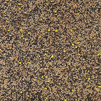 Johnston and Jeff Favourite Mixed Canary Seed 1Kg