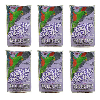 Pretty Bird Eclectus Special 3lb Case of 6