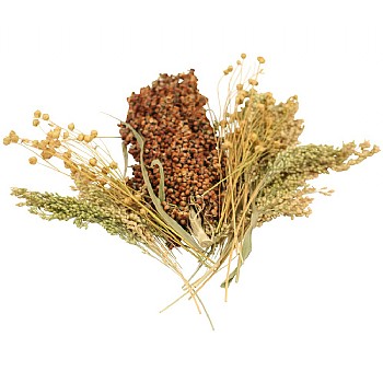 Naturals Pick `n` Fly - 130g - Treat for Pet Birds