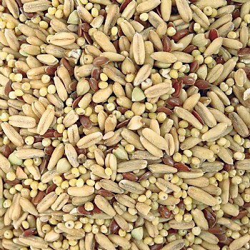TOPS TOP`s Napoleon Seed and Soaking Mix Small Parrot Food 5lb