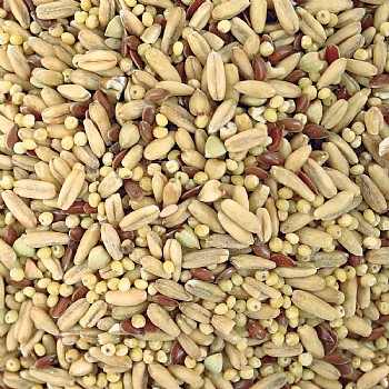 TOP`s Napoleon Seed and Soaking Mix Small Parrot Food 5lb