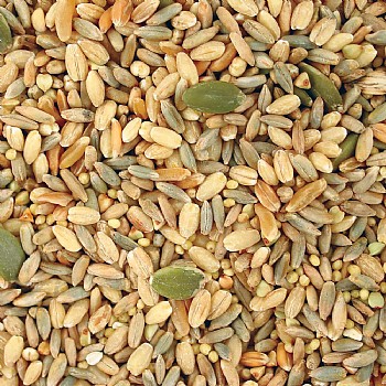 TOP`s All In One Seed and Soaking Mix Parrot Food 5lb