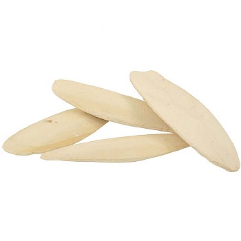 Cuttlefish Bone for Cage Birds - Pack of 2-4
