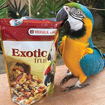 Prestige Exotic Fruit Mix Parrot Treat 15kg