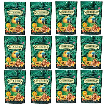 Lafeber NutriBerries Tropical Fruit Parrot 284g - Case of 12