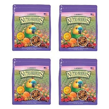 Lafeber NutriBerries Sunny Orchard Parrot 1.36kg - Case of 4