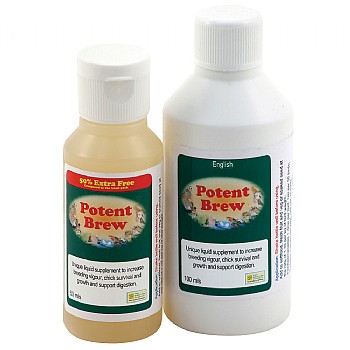 Potent Brew Live Probiotic