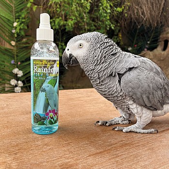 Kings Cages Rainforest Mist African Grey and Amazon 8oz