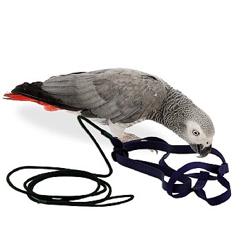 Aviator The Aviator Parrot Harness - Medium
