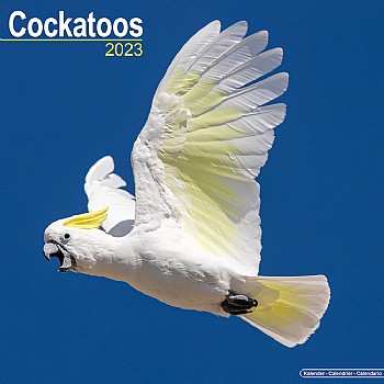 Northern_Parrots 2023 Cockatoo Calendar