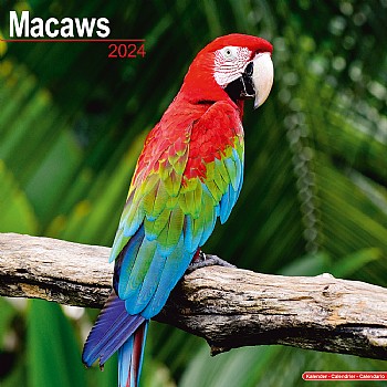 2024 Macaw Calendar
