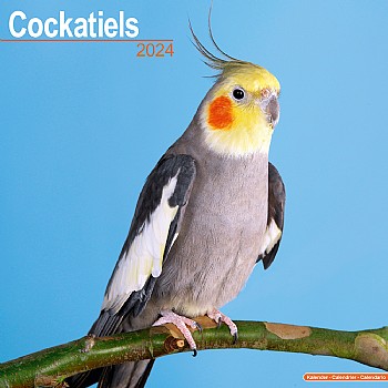 2024 Cockatiel Calendar