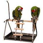 Tabletop Parrot Stand with Toy Hanger & Feeder