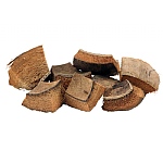 Coconut Shell and Husk Pieces - Pack of 8