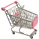 Shopping Trolley Parrot Toy