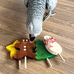 Large Festive Lollipop Parrot Foot Toys - Pack of 4
